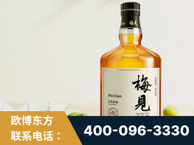 舞钢-梅见青梅酒